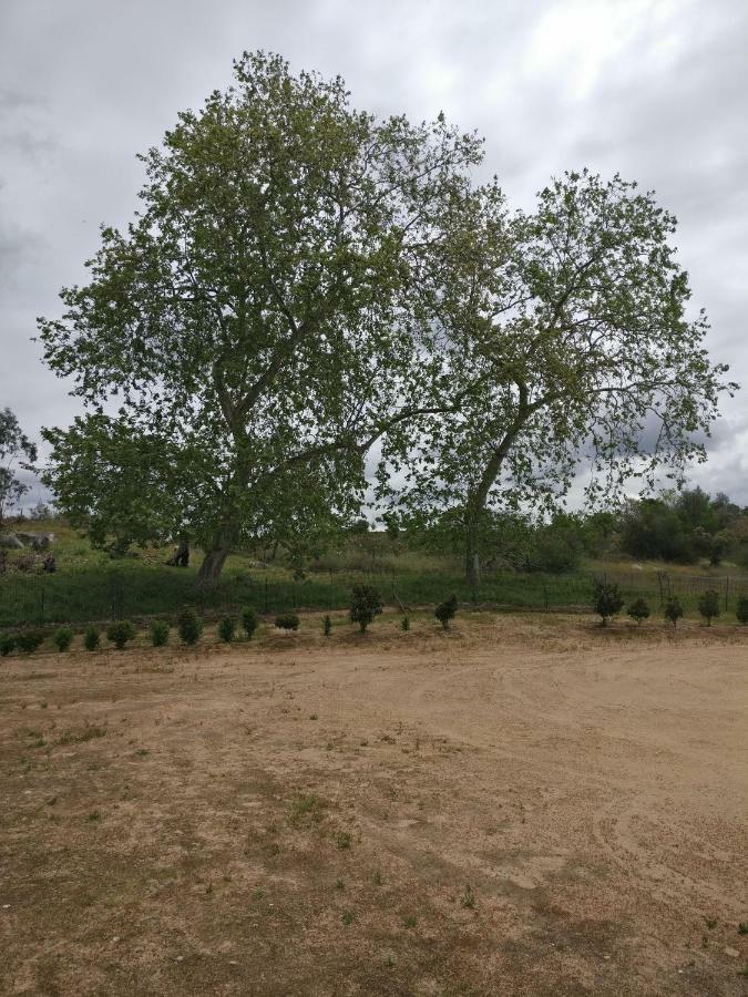 Penzion Quinta Da Abrunheira - Gustavo Eiffel Ciborro Exteriér fotografie
